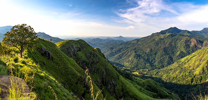 Day 5 · Kandy to Nuwara Eliya