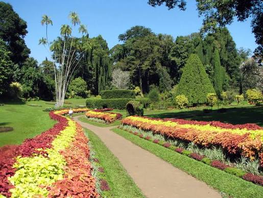Peradeniya gardens